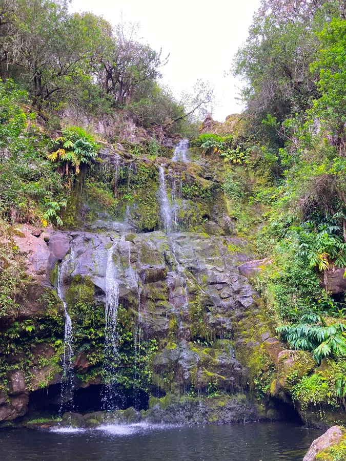 A small waterfall tumbles through dense tropical greenery, one of the lush natural scenes of the Costalegre about 30 min walk away.