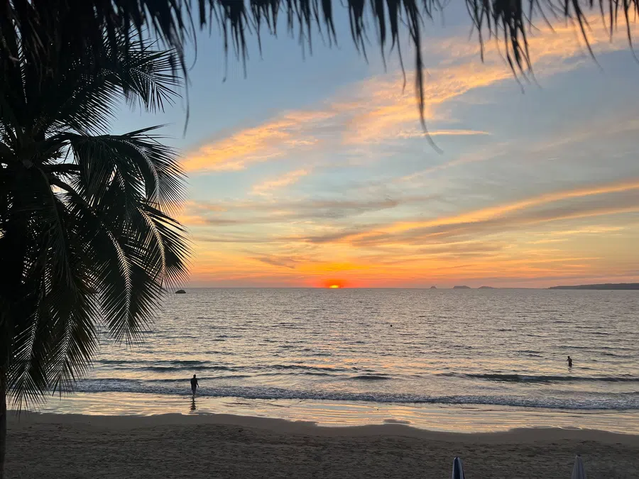 A classic Costalegre sunset framed by palm silhouettes and a quiet stretch of beach.