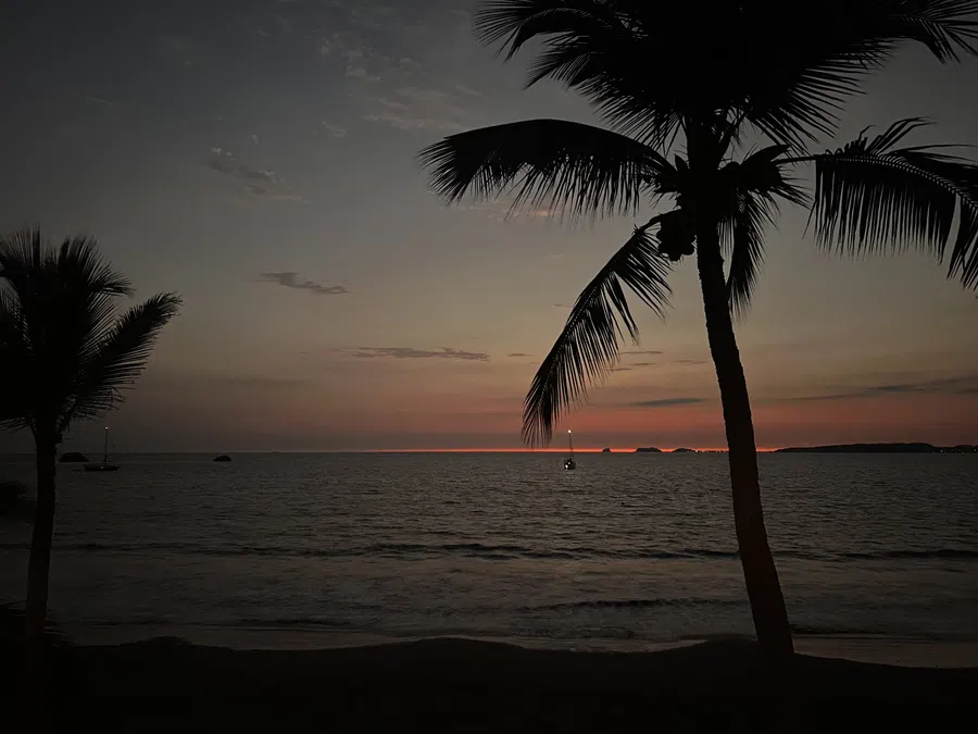 Palm silhouettes frame the bay after sunset as the last color fades along the horizon.