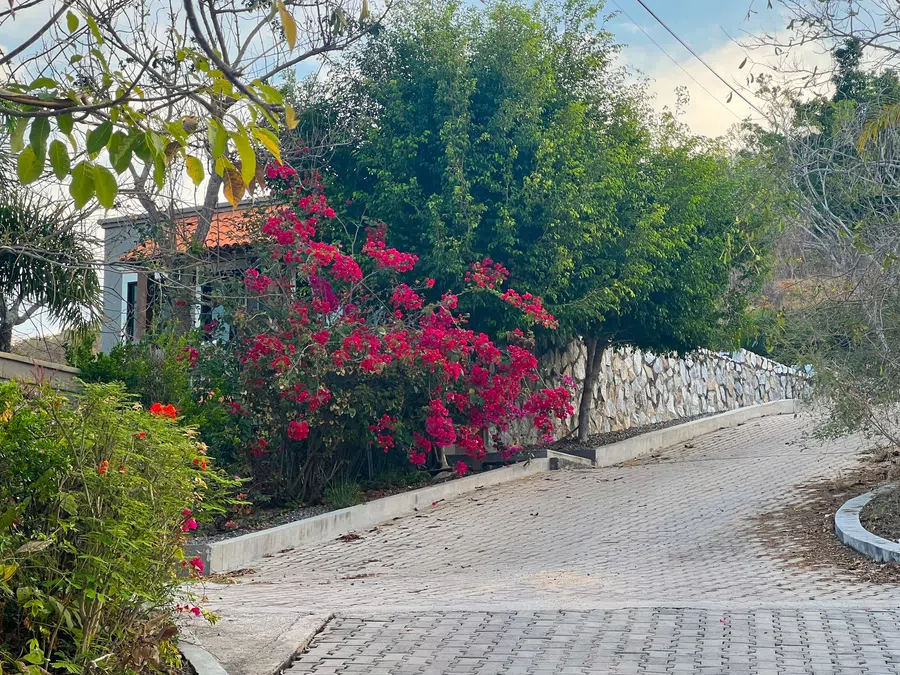 Quiet lane beside the property framed by vivid bougainvillea, stone walls and tropical greenery.