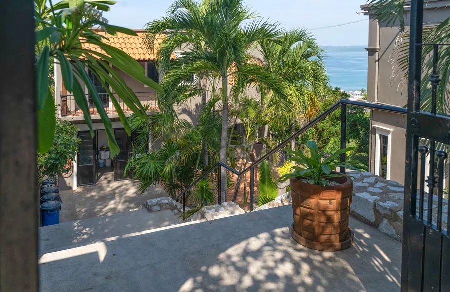 Terraced entry path framed by palms, stonework and tropical plantings.