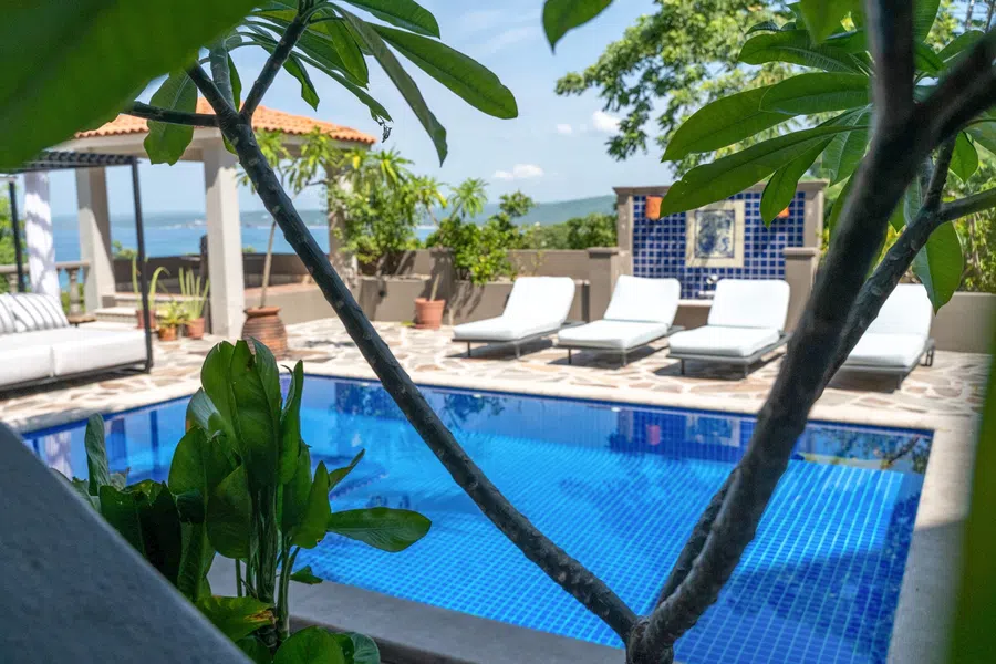 The blue-tiled swimming pool framed by tropical foliage.