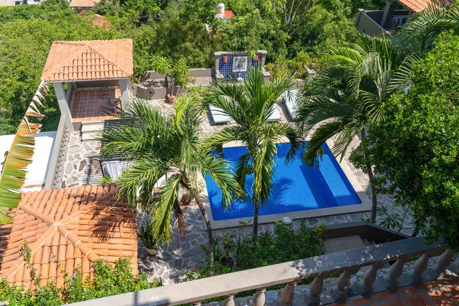 Elevated view down through palms to the central pool and garden terraces.